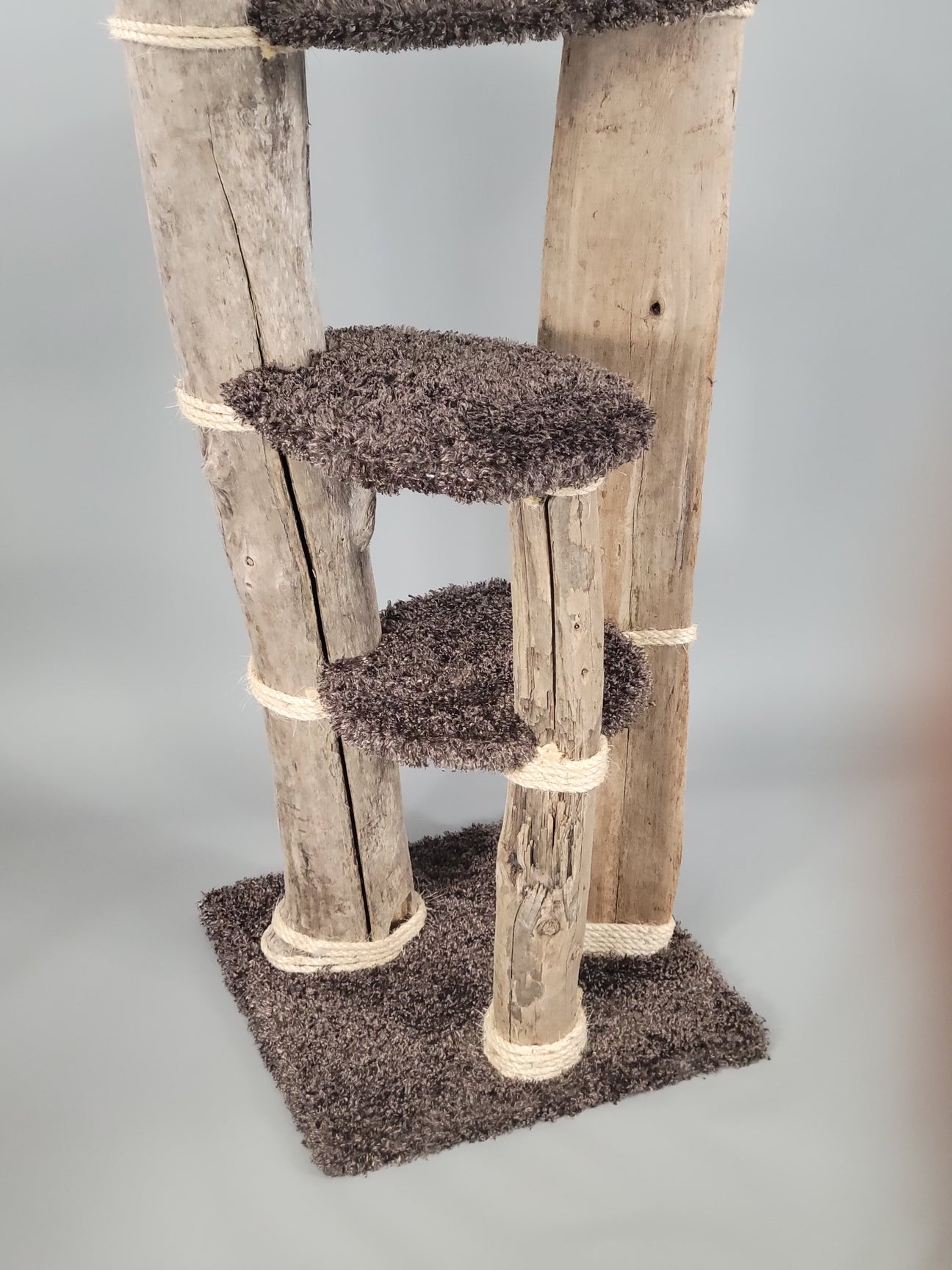 Puyallup | Large driftwood cat tree
