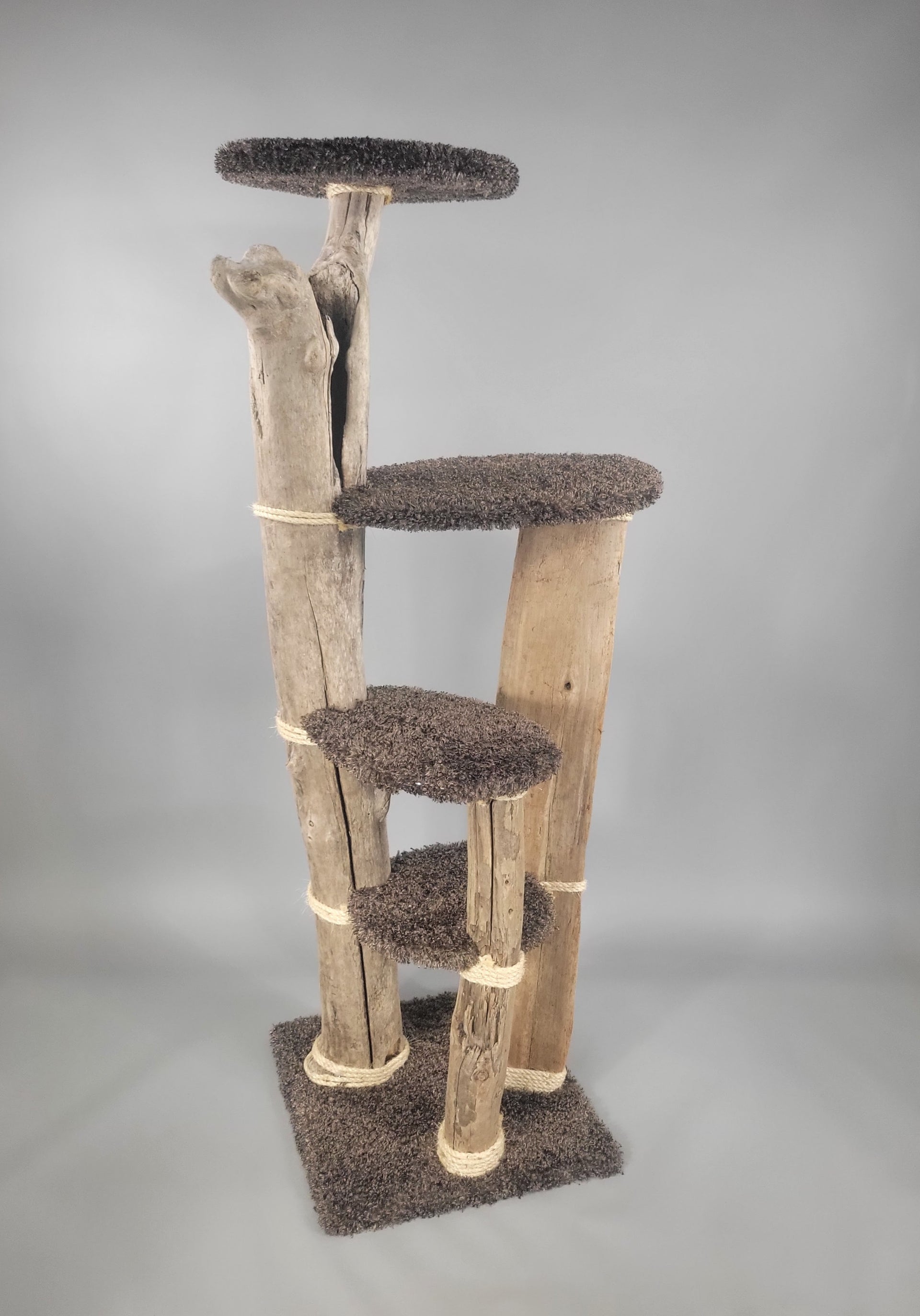 Puyallup | Large driftwood cat tree