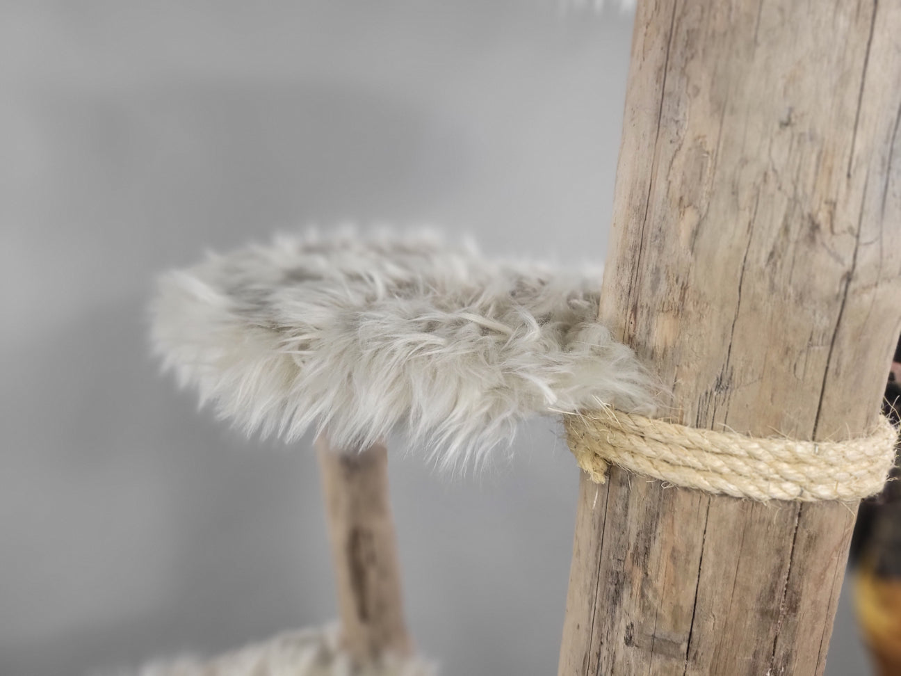 Suiattle | Large driftwood cat tree